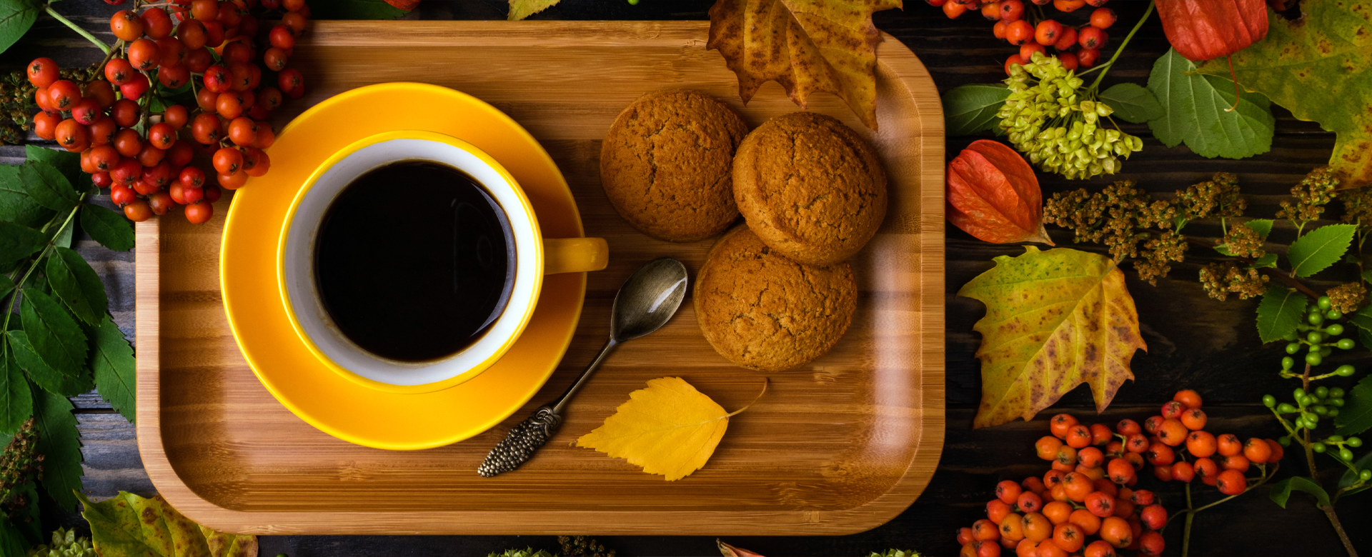 Specialty Coffees for Business Offices